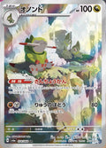 Pokemon Card