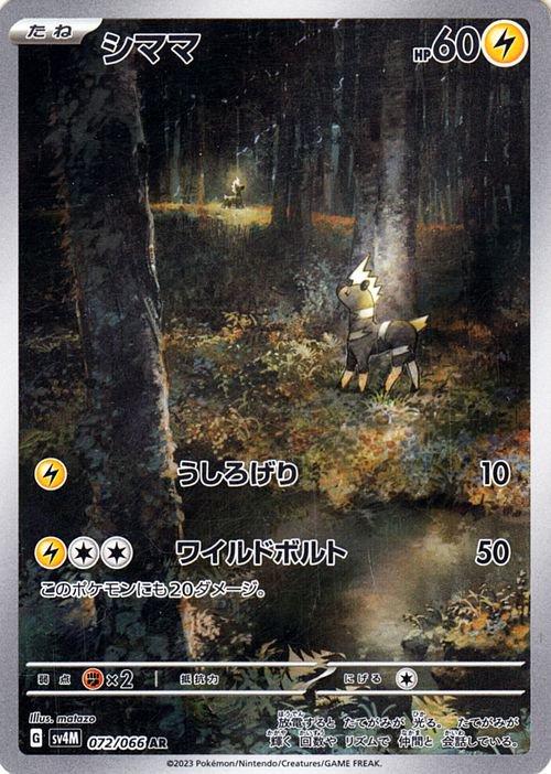 Pokemon Card
