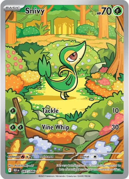 Snivy 087/086 sv11B Black Bolt AR Art Rare
