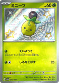 Pokemon Card