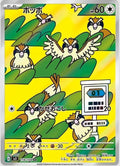 Pokemon Card