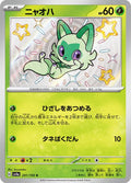Pokemon Card
