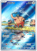 Pokemon Card