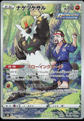 Passimian 203/184 s8b VMAX Climax CHR AR ART Rare