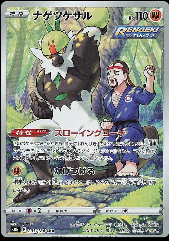Passimian 203/184 s8b VMAX Climax CHR AR ART Rare