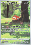 Pokemon Card