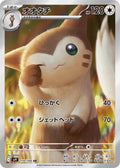 Pokemon Card