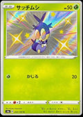 Pokemon Card