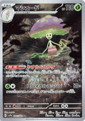 Pokemon Card