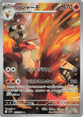 Pokemon Card