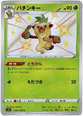 Pokemon Card