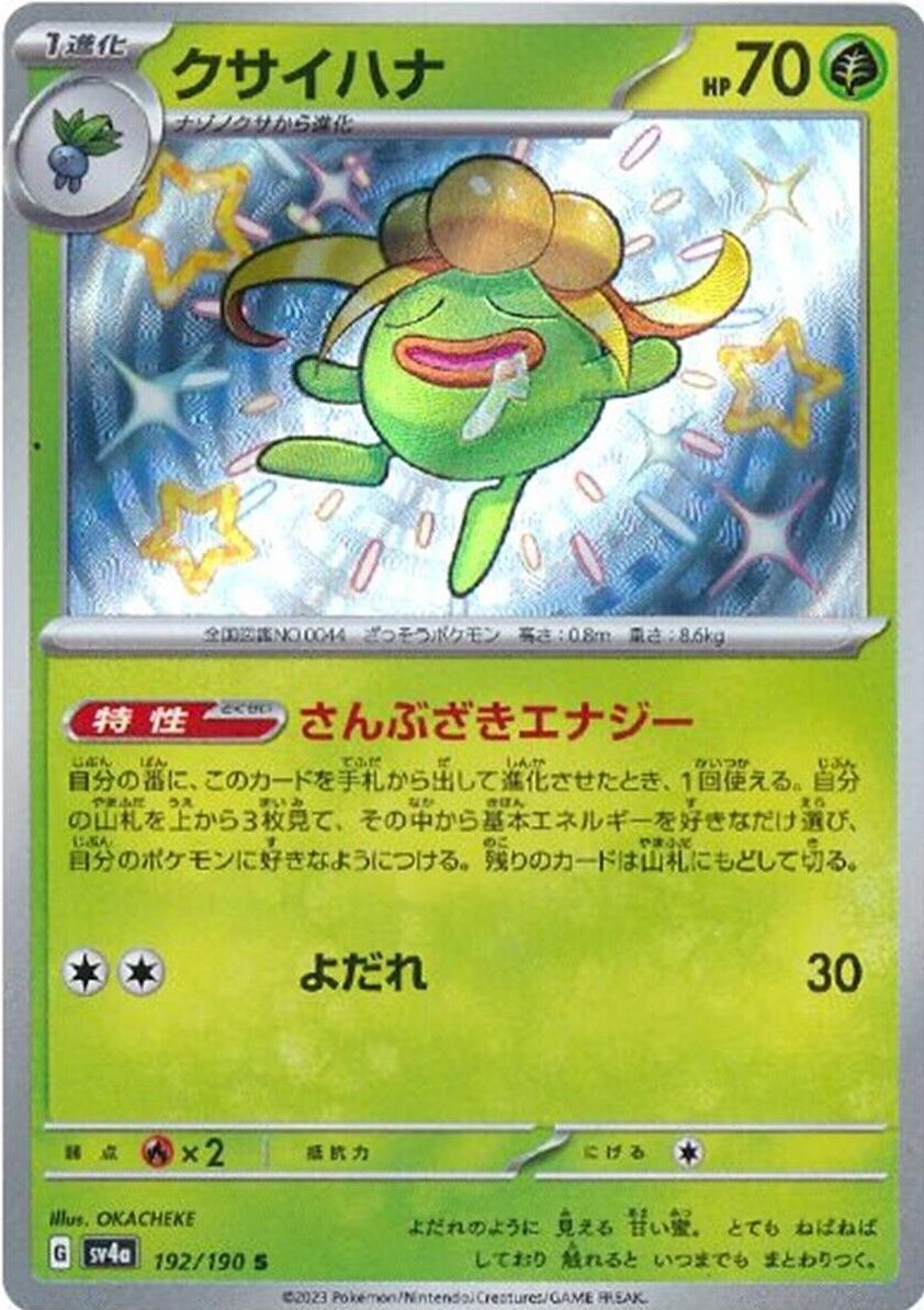 Pokemon Card