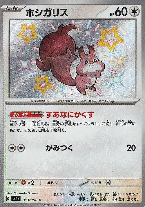 Pokemon Card