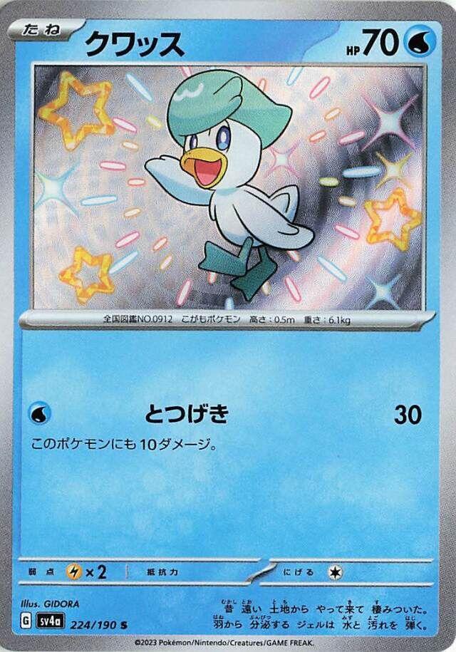 Pokemon Card