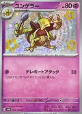 Pokemon Card