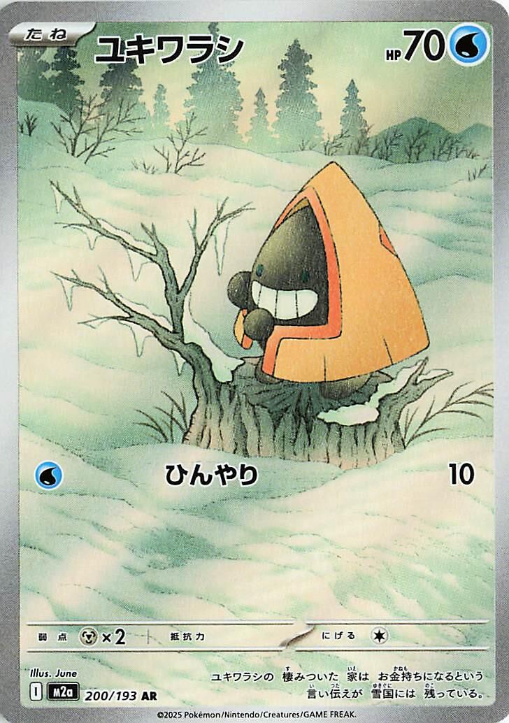 Pokemon Card