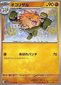Pokemon Card