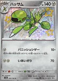 Pokemon Card