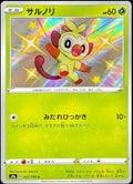 Pokemon Card