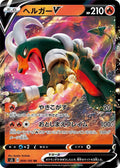 Pokemon Card