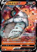 Pokemon Card