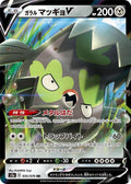 Pokemon Card