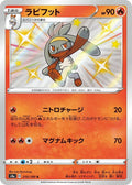 Pokemon Card