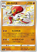 Pokemon Card