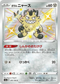 Pokemon Card
