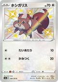 Pokemon Card