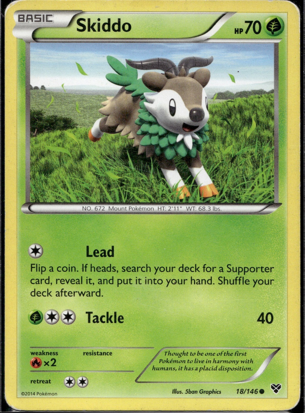 Skiddo 18/146 XY XY Pokemon Lightly Played