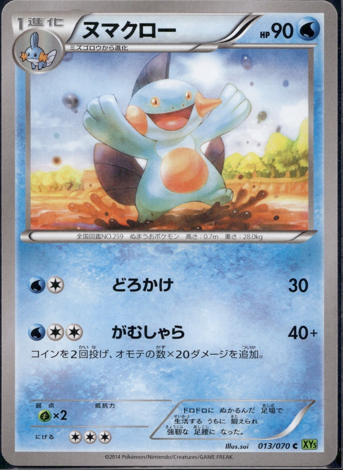 Marshtomp 013/070 XY5 Tidal Storm Pokemon Japanese 1st Edition Lightly Played