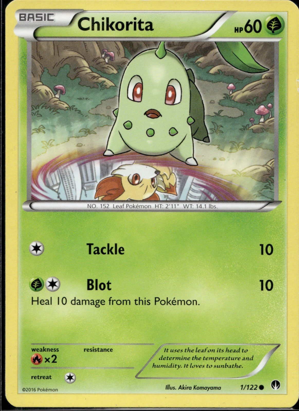 Chikorita 1/122 BKP BREAKpoint Pokemon Lightly Played