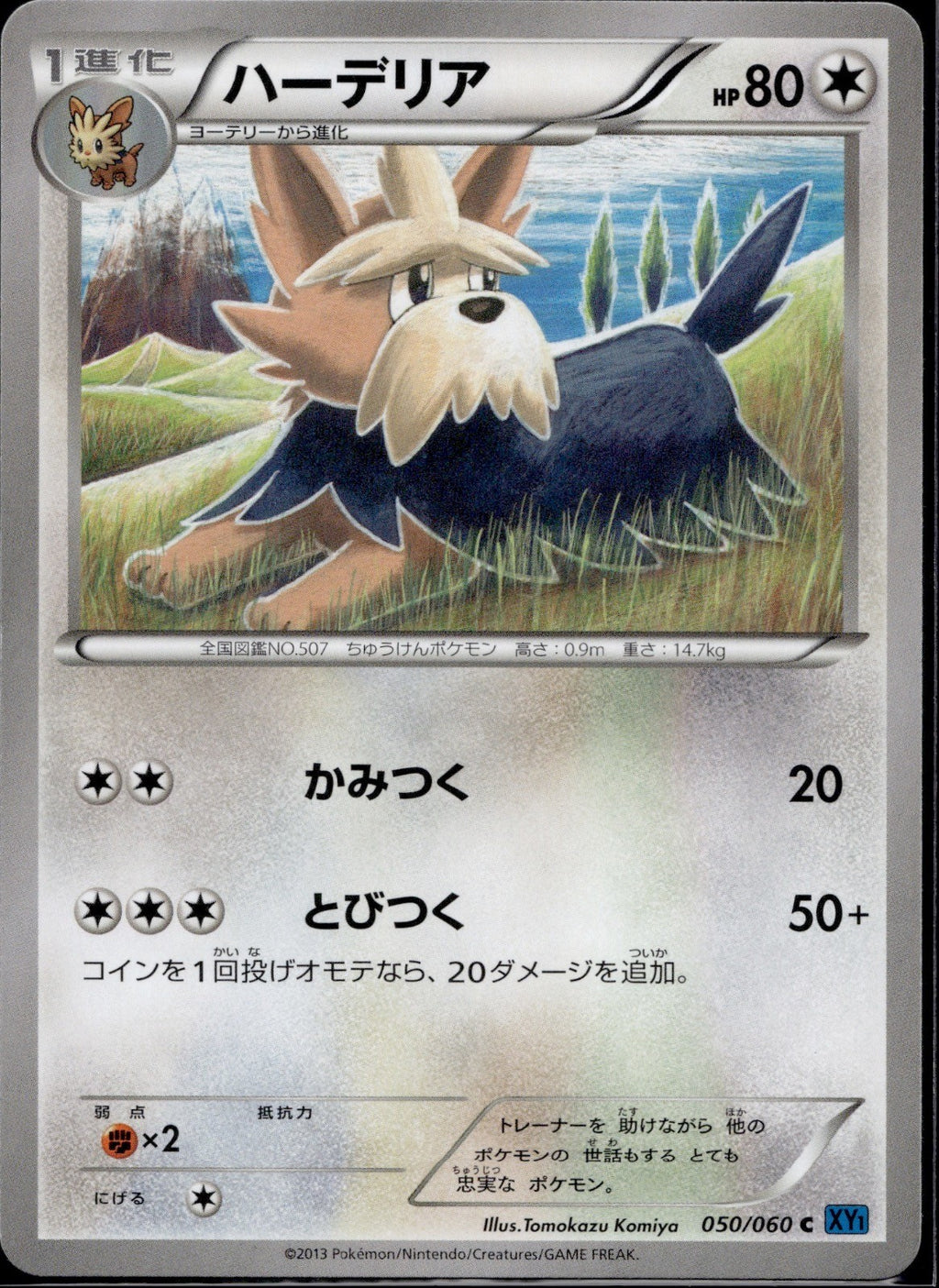Herdier 050/060 XY1 Collection X Pokemon Japanese Unlimited Near Mint