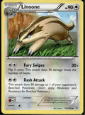 Linoone 112/160 PRC Primal Clash Pokemon Lightly Played