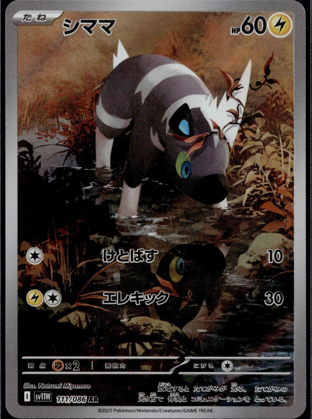 Blitzle 111/086 SV11W SV11W: White Flare Pokemon Japanese Holo Near Mint