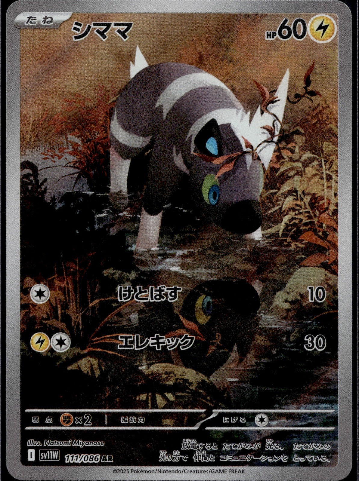 Blitzle 111/086 SV11W SV11W: White Flare Pokemon Japanese Holo Near Mint