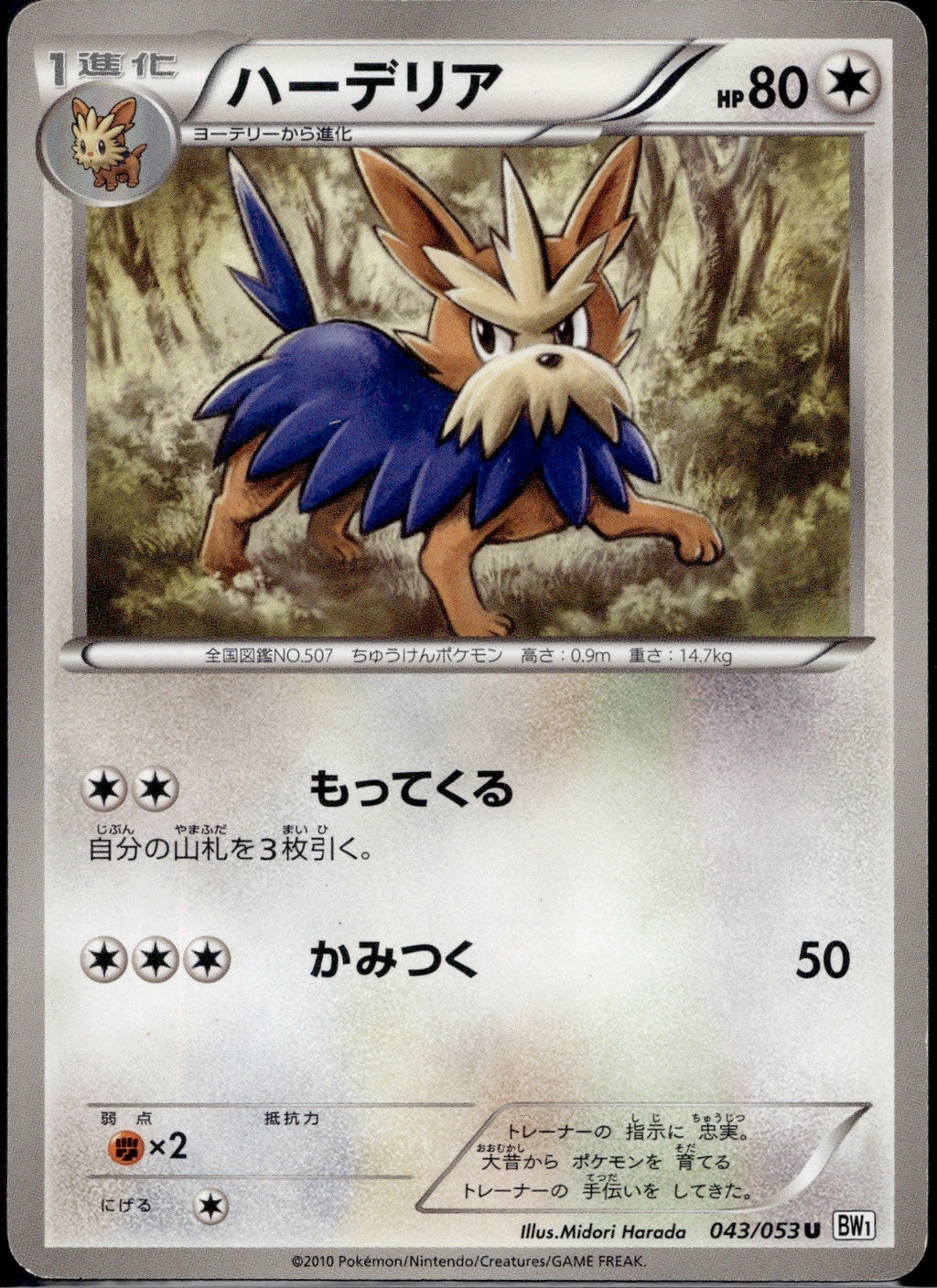 Herdier 043/053 BW1 White Collection Pokemon Japanese Unlimited Lightly Played