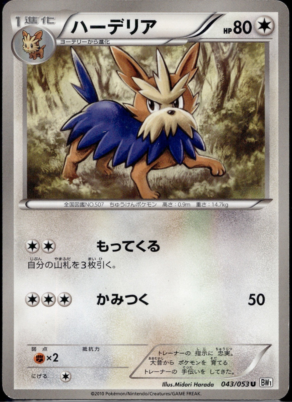 Herdier 043/053 BW1 White Collection Pokemon Japanese Unlimited Lightly Played