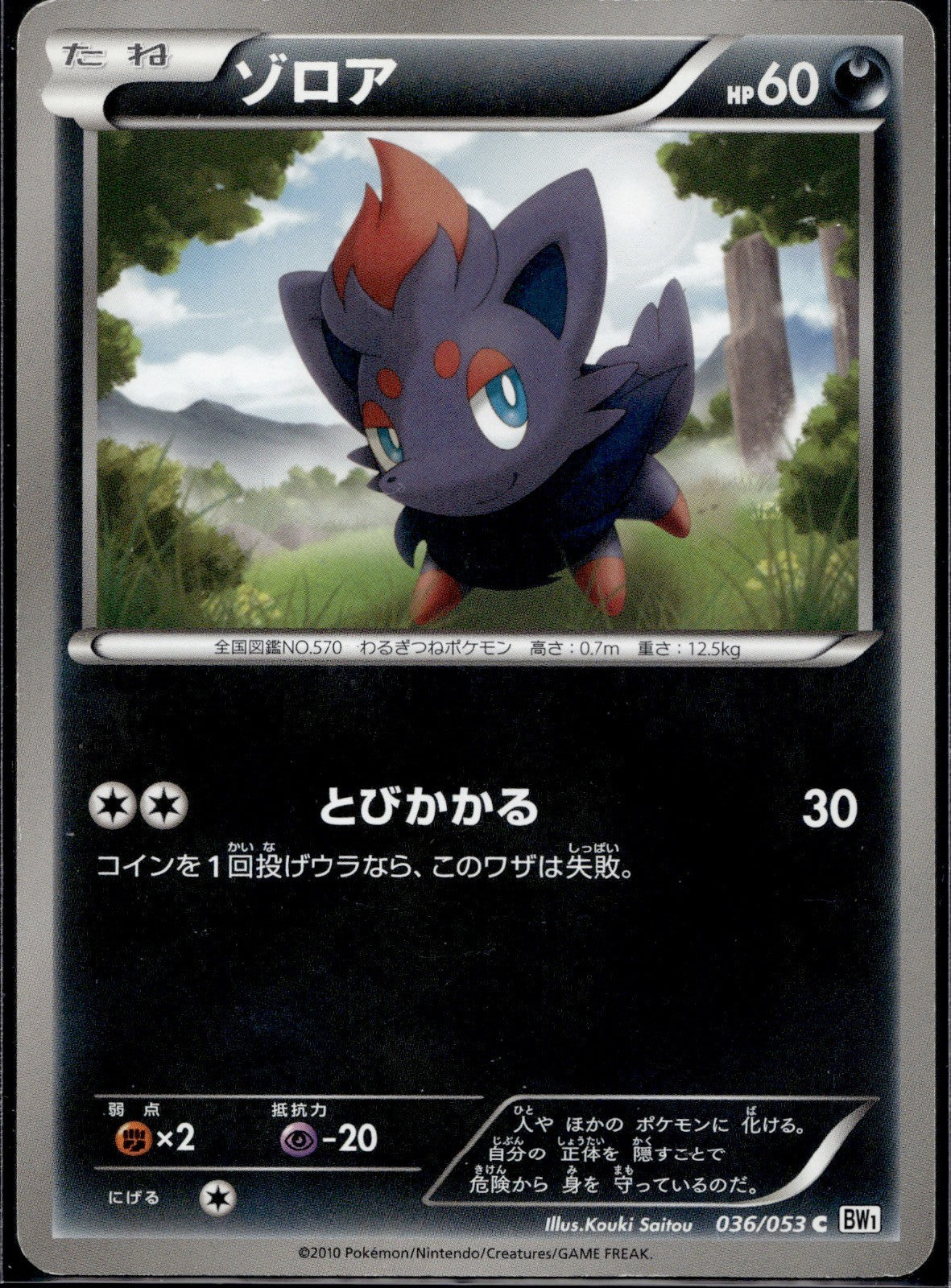Zorua 036/053 BW1 White Collection Pokemon Japanese 1st Edition Lightly Played