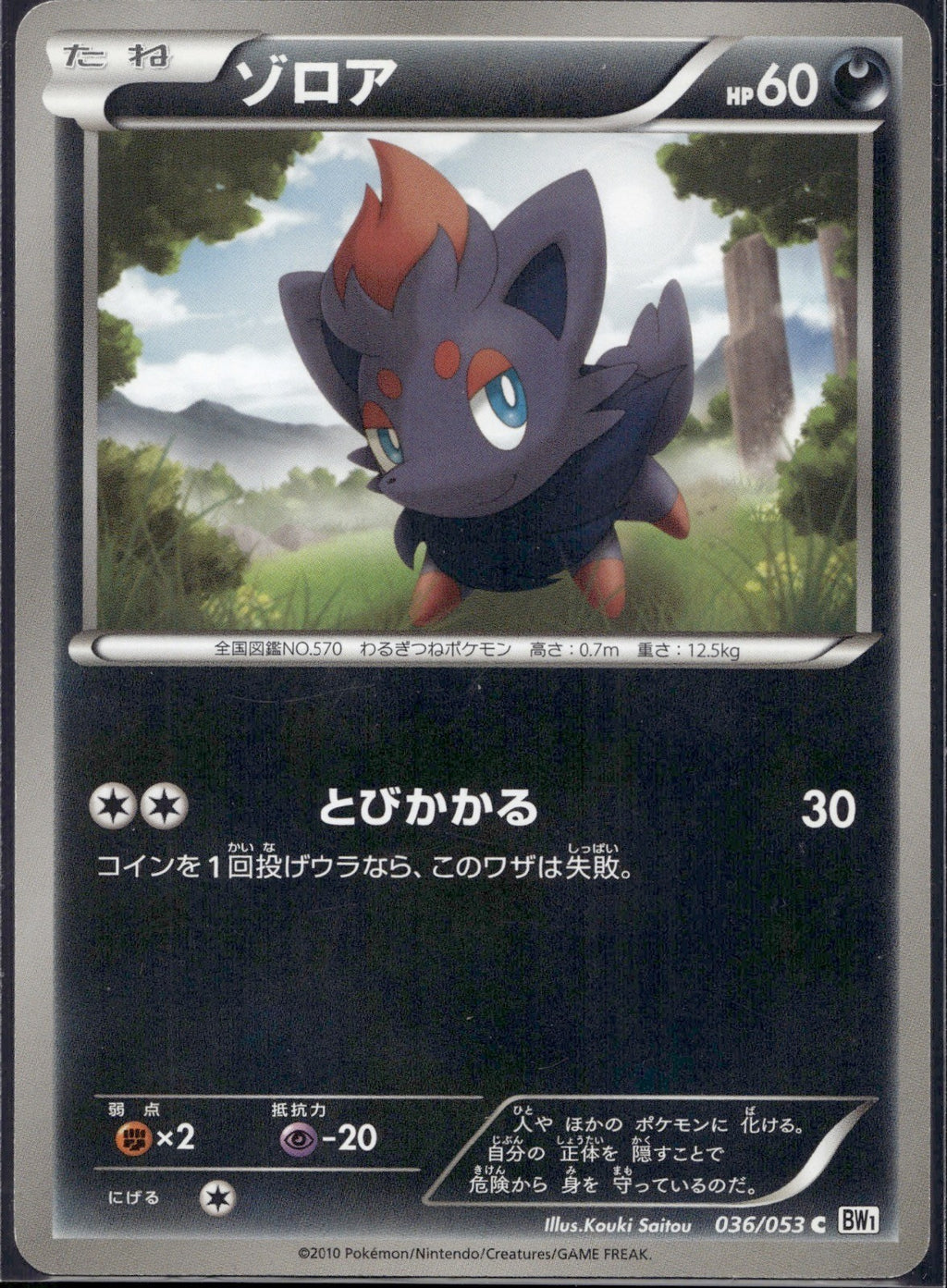 Zorua 036/053 BW1 White Collection Pokemon Japanese 1st Edition Lightly Played