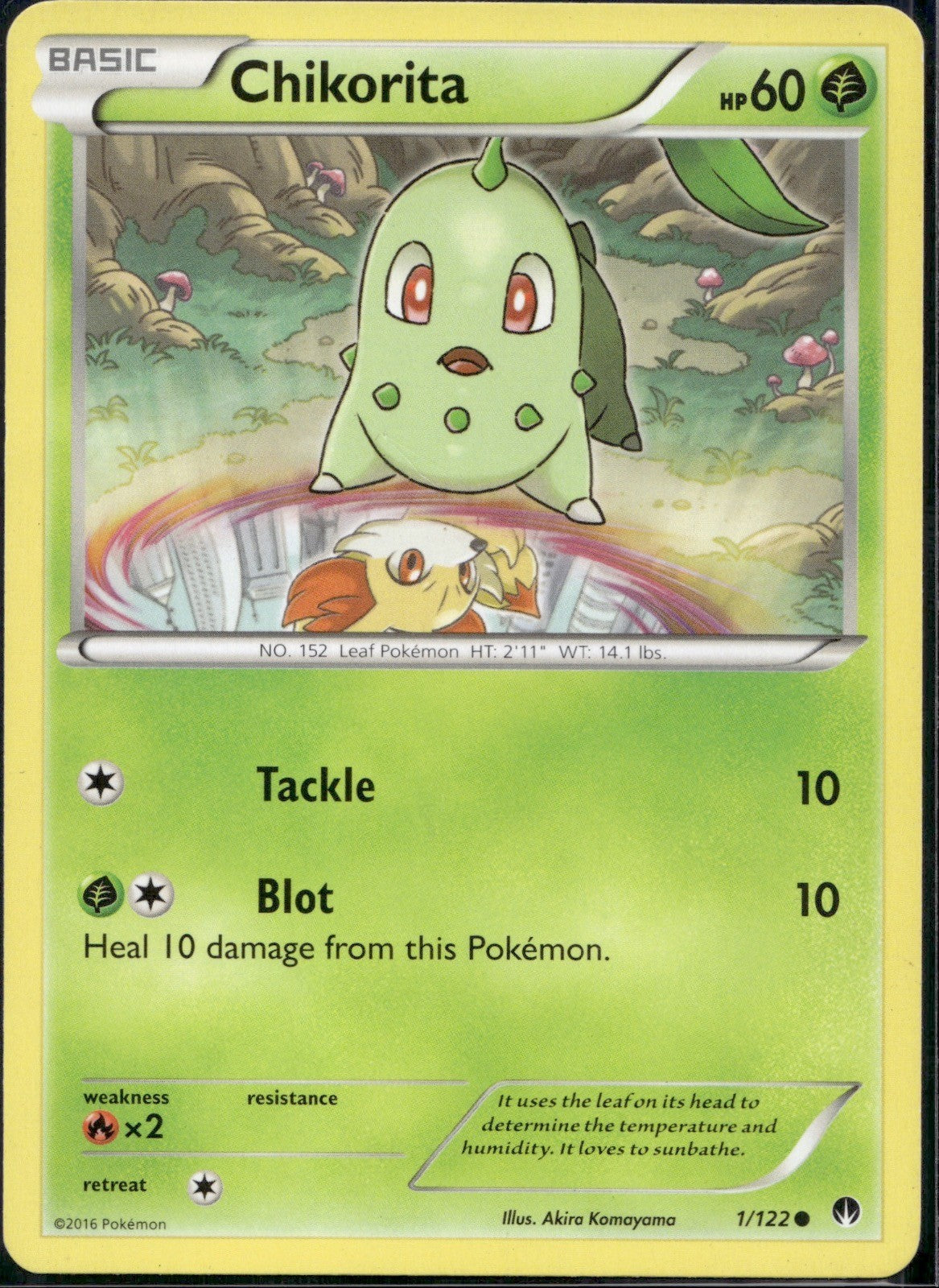 Chikorita 1/122 BKP BREAKpoint Pokemon Lightly Played