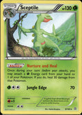 Sceptile 8/160 PRC Primal Clash Pokemon Lightly Played