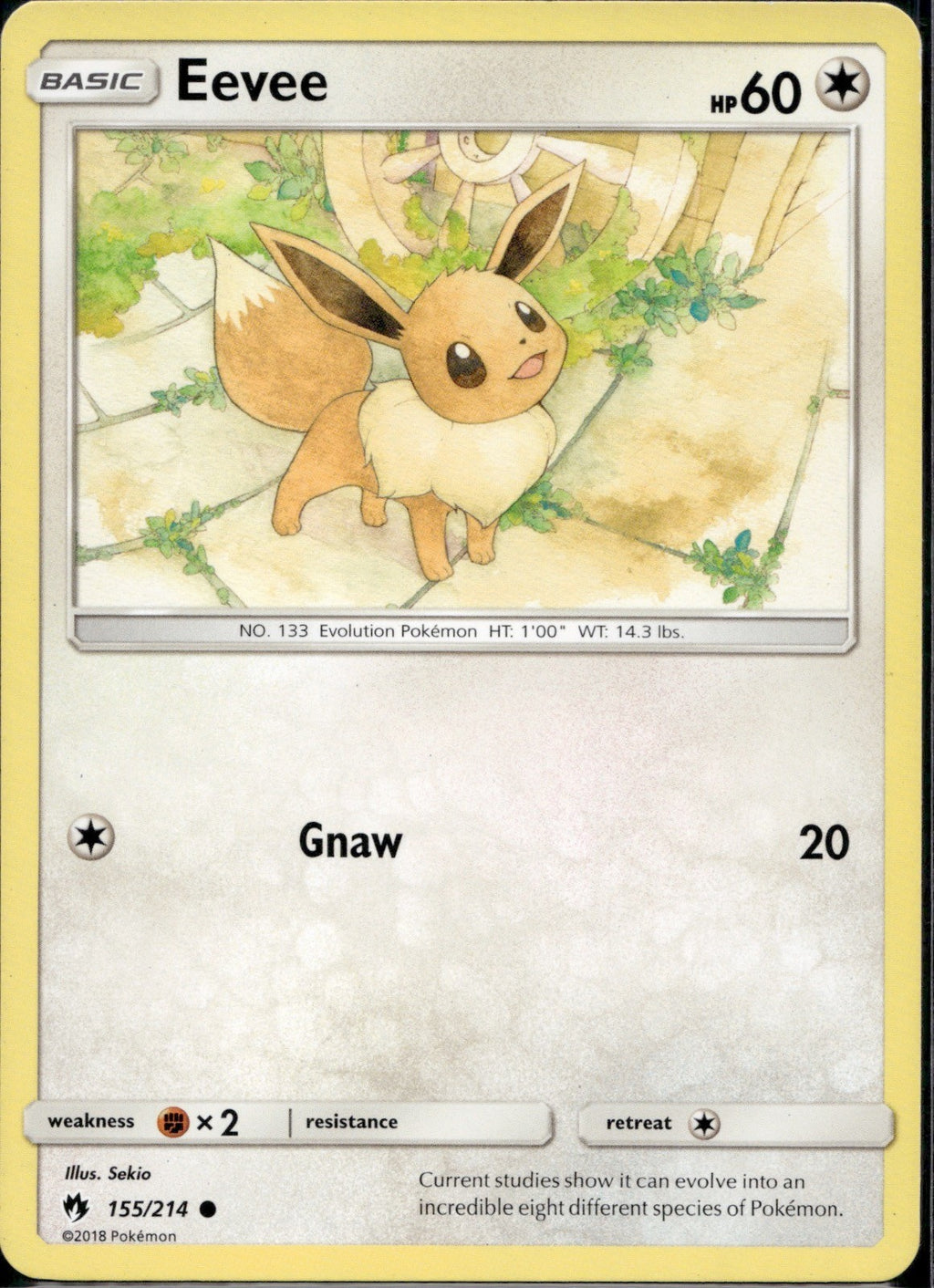 Eevee 155/214 LOT Lost Thunder Pokemon Lightly Played