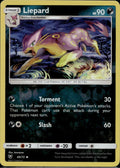 Liepard 49/73 SLG Shining Legends Pokemon Reverse Holo Lightly Played