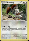 Bunnelby 111/146 XY XY Base Set Pokemon Lightly Played