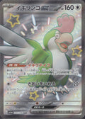 Squawkabilly EX 337/190 sv4a Shiny Treasure ex Pokemon Japanese Holo Near Mint