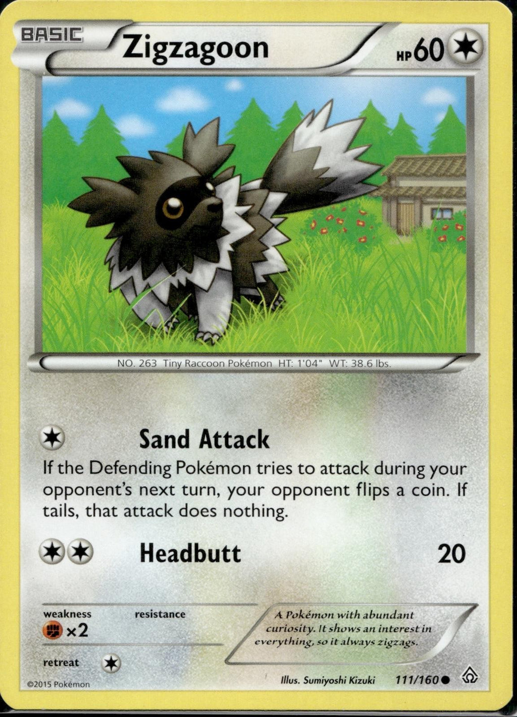 Zigzagoon 111/160 PRC Primal Clash Pokemon Lightly Played