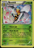 Beedrill 5/146 XY XY Pokemon Reverse Holo Lightly Played