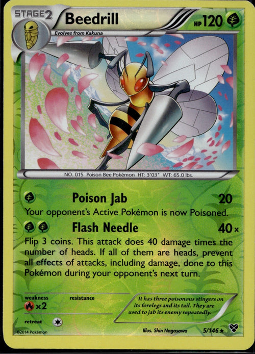 Beedrill 5/146 XY XY Pokemon Reverse Holo Lightly Played